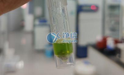 多樣品組織研磨機在浙江大學(xué)農(nóng)學(xué)院進行番茄葉片研磨實驗