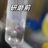 必看！全自動浸入式液氮冷凍研磨儀高效研磨小鼠肝臟提取DNA實(shí)操指南